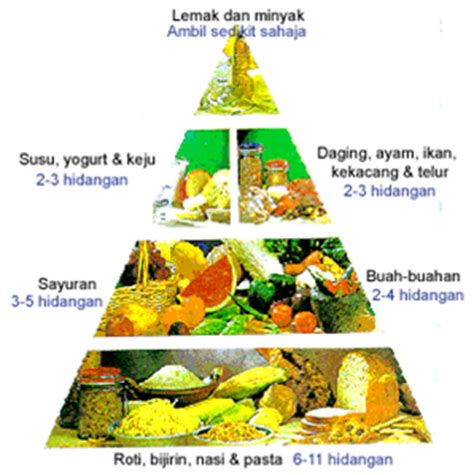 Ketahui fungsi piramid makanan piramid makanan bermula apabila kementerian pertanian di us mahu memberi panduan makanan yang terbaik untuk dipilih dan dimakan. fit n gorgeous: Pemakanan Seimbang
