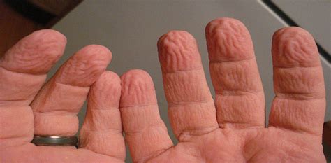 How Finger Wrinkles Help Us Handle Slippery Stuff