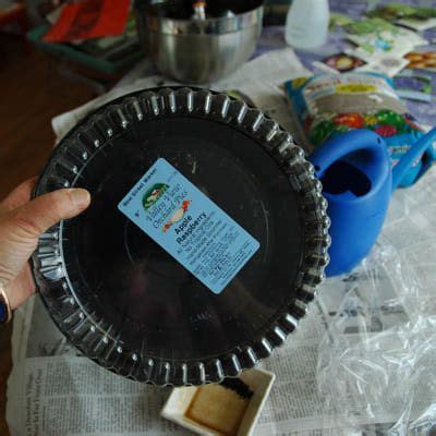 It should be just wet enough to clump and crumble when you squeeze it. DIY Seed Starting Mix Made Easy | Seed starter, Self ...