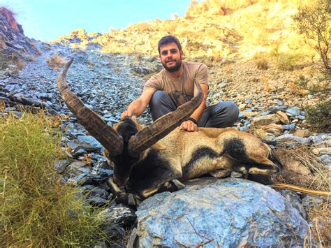 Spain Big Game Southeastern Ibex Quality Hunts