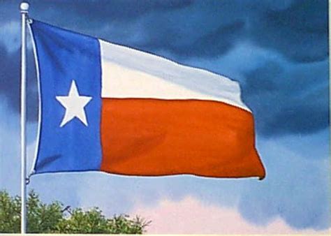 Texas Flag Painting Texas Fan Art 558194 Fanpop