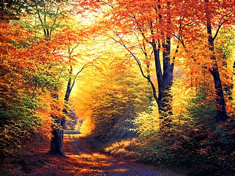 Beautiful Autumn Season Wallpapers All Hd Wallpapers