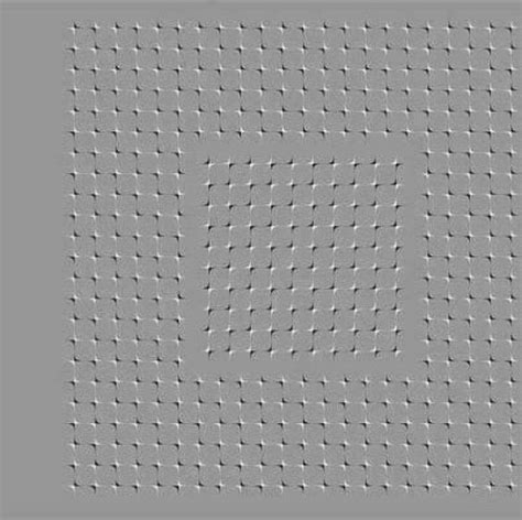 It Looks Like Its Moving Optical Illusions Mind Blown Illusions Mind