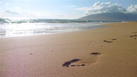 1,000+ vectors, stock photos & psd files. Footprints In Sand Stock Video Footage - 4K and HD Video ...