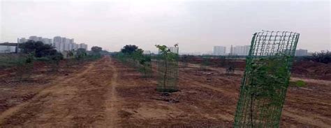 M3m Boost For Gurugrams Green Cover Property In Gurgaon Luxury