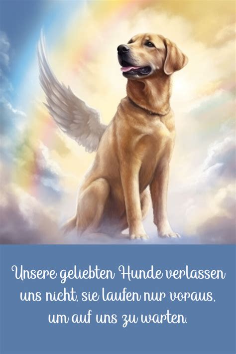 Gedichte And Trauersprüche Für Den Abschied Vom Hund