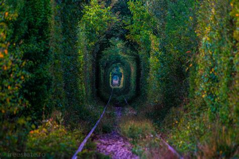 tunnel of love freestate