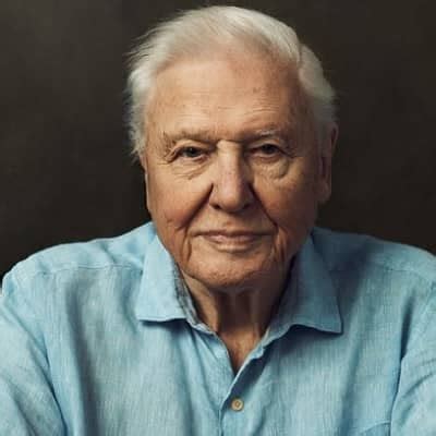 David Attenborough ABC Bio Career Age Net Worth Height Alan Carr