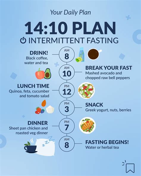 Intermittent Fasting Your Dayli Plan Diät Rezepte Abnehmen Abnehmen