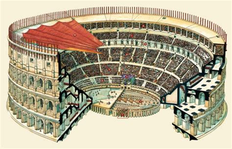 Ricostruzione Grafica Del Colosseo Rome Colosseum Rome Ancient Maps