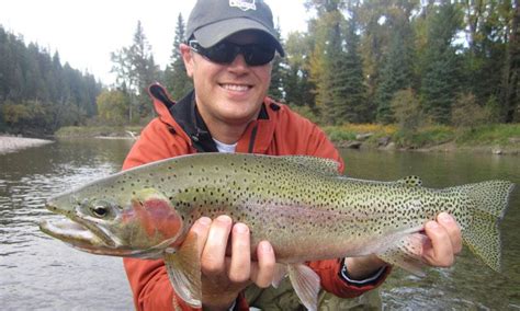 Whitefish Montana Fishing Fly Fishing Alltrips