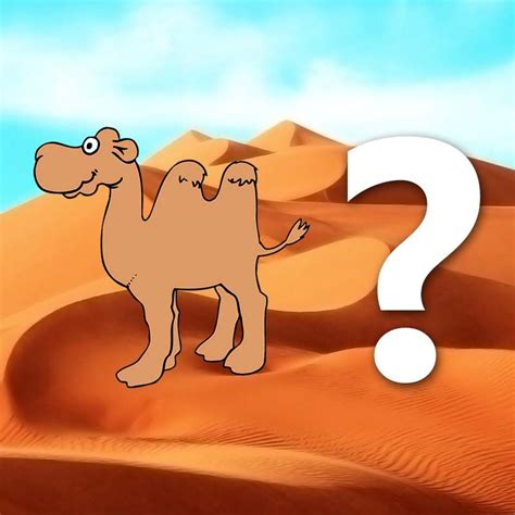 It depends on the week. Here you can calculate how many camels your girlfriend or ...