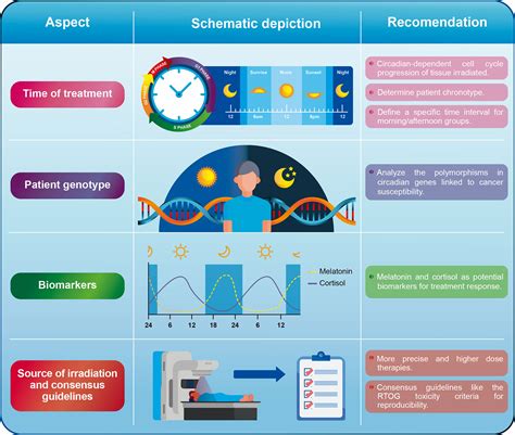 Frontiers The Time For Chronotherapy In Radiation Oncology