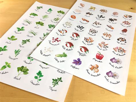 Herbs And Spices Stickers A4 Sheet Of 35 Circular Stickers Etsy Canada