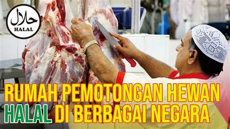 Rph Rumah Pemotongan Hewan Bersertifikasi Halal Di Seluruh Dunia