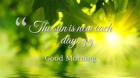 Beautiful Sunshine Day Good Morning Quotes Wallpaper 00220 Baltana