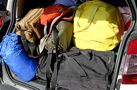Too Much Luggage Stock Photos Pictures And Royalty Free Images Istock