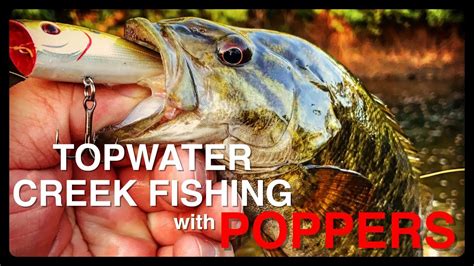 Topwater Creek Fishing With Poppers Youtube
