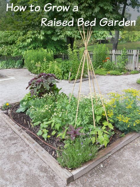 For a full list of materials and tools and a set of instructions go to this link. Frugal Gardening Tips for Beginners