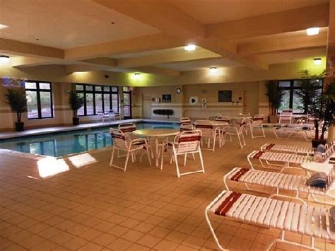 Hampton Inn And Suites Wilder Pool Pictures And Reviews Tripadvisor