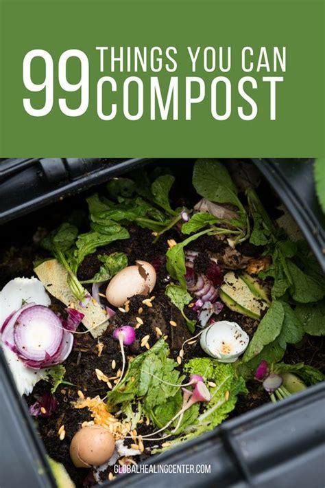 Anybody Who Has A Composting Bin Or Compost Pile At Their House Knows