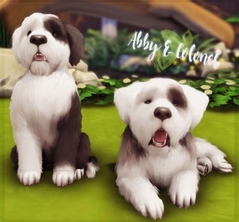 Ohbluir Sims 4 Pets Old English Sheepdog Puppy Sheep Dog Puppy