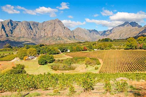 Amazing Things To Do In Stellenbosch South Africa Stingy Nomads