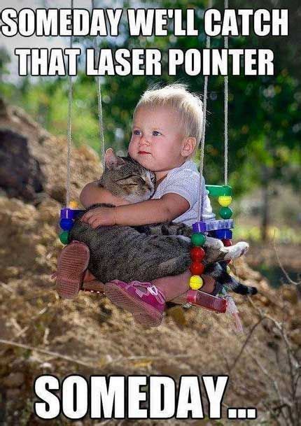 63 ideas funny memes for kids hilarious grumpy cat for 2019. Best Buds! - Reading Kingdom Blog
