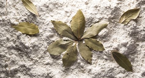 Or use these tips to keep bugs out of your kitchen for good. How to Get Rid of Pantry Bugs - Thrive Market