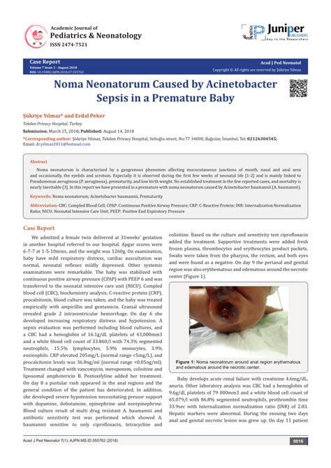 Pdf Noma Neonatorum Caused By Acinetobacter Sepsis In A Premature Baby