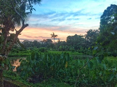 Bali Baby – THIS ADVENTUROUS LIFE
