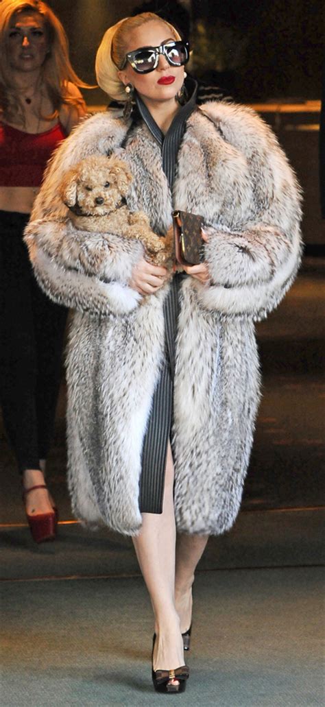 It.(buy) for me by my grandmother.2. Happy Birthday Lady Gaga! Her True Puppy Love Is In Fur ...