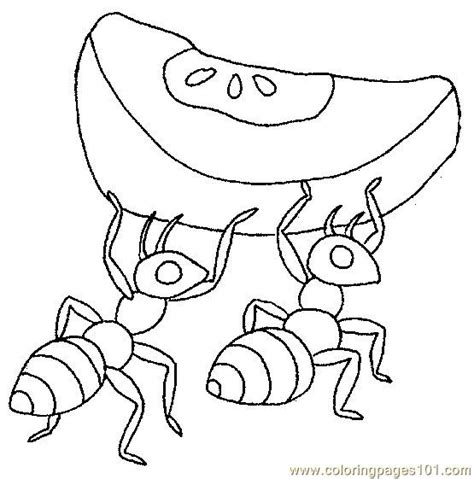 How many types of ant are there in the world? Ants with eating food Coloring Page - Free Ants Coloring ...