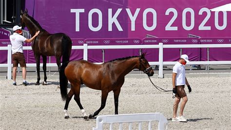 Focus Focus On Equestrian Sports At The Tokyo Olympics Reuters