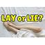Lay Or Lie – Espresso English