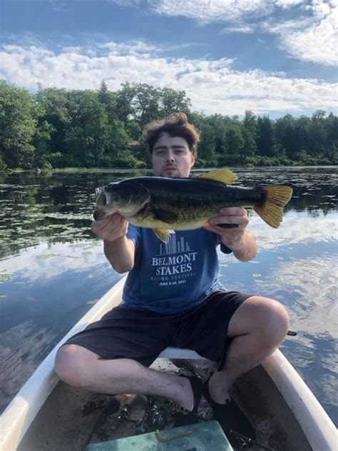 Where to Buy a Fishing License Online? (A State-By-State Guide
