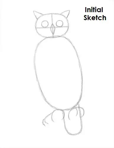 How To Draw An Owl Great Horned Video And Step By Step Pictures