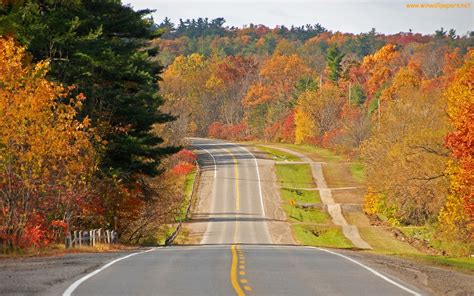 The Most Beautiful Road In The World Hd Windows Wallpapers