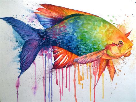 Colourful Fish Colorful Animal Paintings Watercolor Fish Abstract