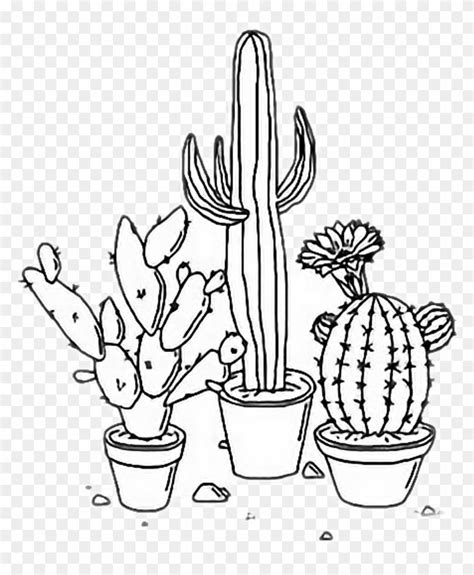 Free Download Sad Aesthetic Drawings Tumblr India S Cactus Drawing