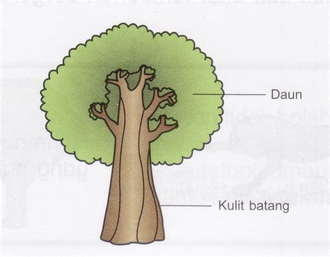 Haiwan perlu bernafas untuk hidup. Dunia Sains & Teknologi ( Cheong Khang Wen, EL-B27 ...
