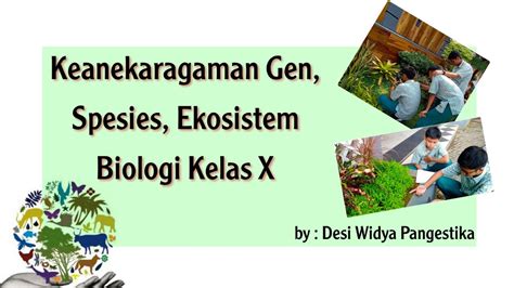 Keanekaragaman Hayati Di Indonesia Praktek Kehati Biologi Kelas