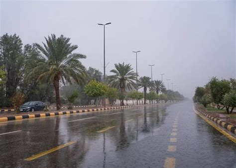 الأرصاد أمطار رعدية متوسطة إلى غزيرة على مناطق المملكة أخبار