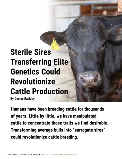 The Cattle Journal Beef And Business 2021 From Tri State Livestock News By Tri State Livestock