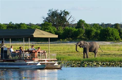 Chobe National Park Game Drives Chobe River Cruises