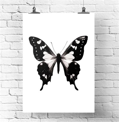 Black And White Butterfly Art Unframed Home Print By Over And Over