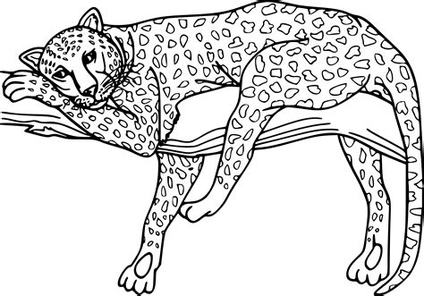 Coloriage Guepard Et Dessin à Imprimer