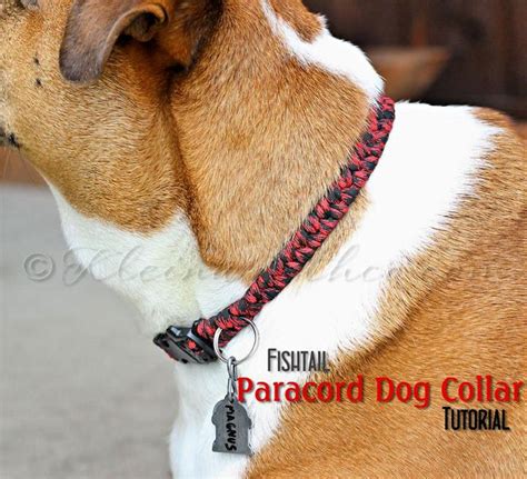 15 Easy Diy Dog Collar Ideas To Make Your Own Dog Collar