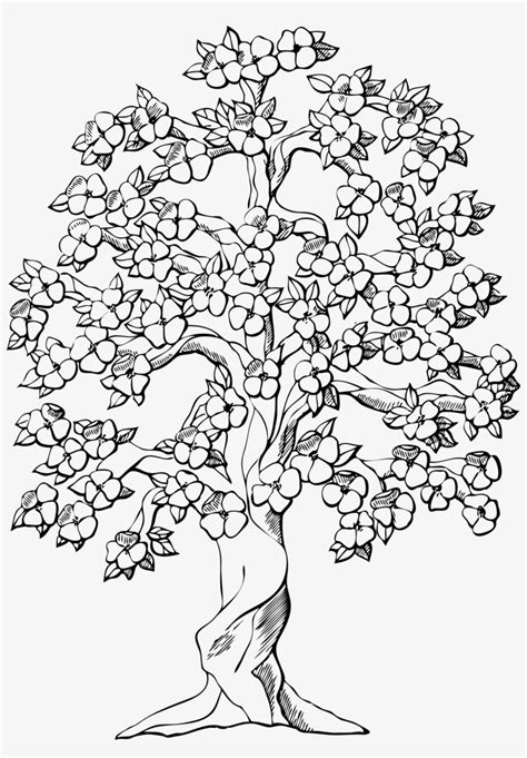 Individual symbols for drawing a family tree jpeg scottish. Big Image - Big Family Tree Drawing Transparent PNG - 1727x2400 - Free Download on NicePNG