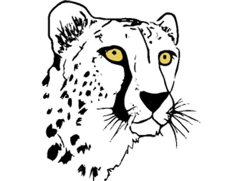 PLAATJES LUIPAARDEN PLAATJE CLIPART CLIPARTS AFBEELDING AFBEELDINGEN